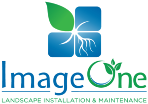 The ImageOne logo